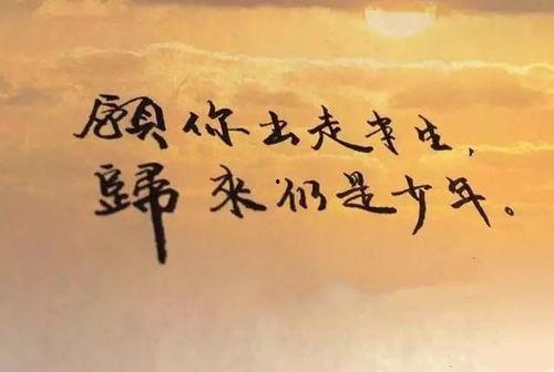 半生归来与君逢