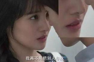 再次来寻我,再次来寻的温馨篇章  第2张