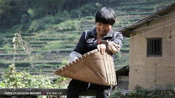 再次来寻我,再次来寻的温馨篇章  第3张