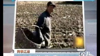 山村秘事,揭开古老传说背后的神秘面纱  第2张