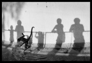 影子 2007,探寻光影交织下的都市传奇 第3张 影子 2007,探寻光影交织下的都市传奇 第3张